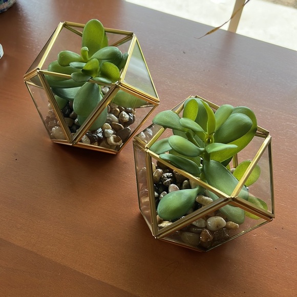 Set of 2 Opalhouse Filled Terrarium Faux Succulent Plant 4”x4” - Picture 1 of 9